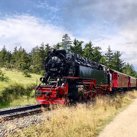 Fewo Fuchsbau Mit Dampfdusche #Kamin#Innenstadtnaehe#Netflix Von Harztraveler Bad Harzburg Buitenkant foto