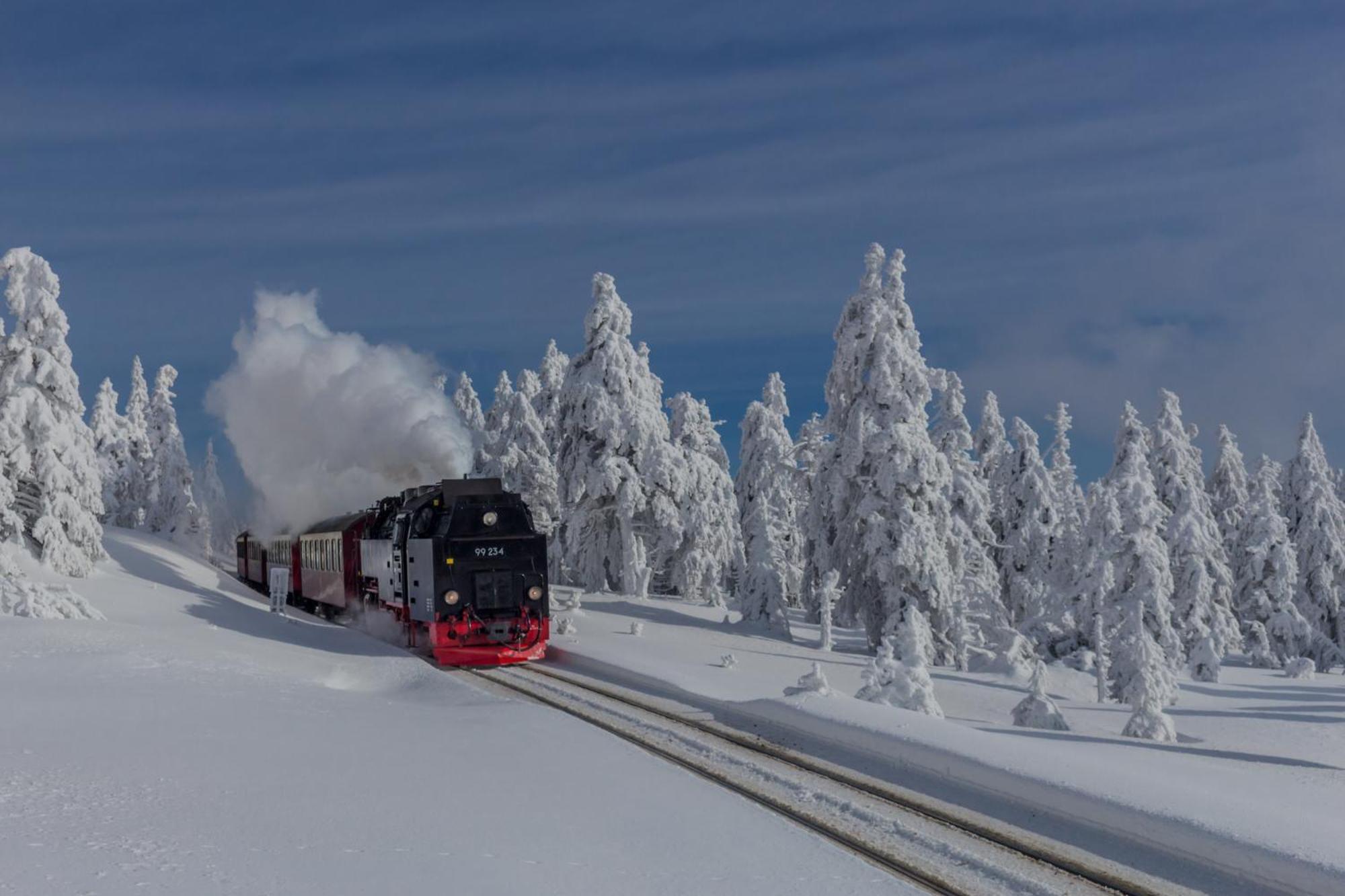 Fewo Fuchsbau Mit Dampfdusche #Kamin#Innenstadtnaehe#Netflix Von Harztraveler Bad Harzburg Buitenkant foto